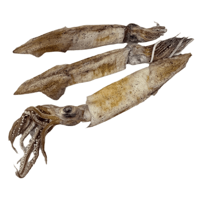 Private Label Freeze Dried Treats