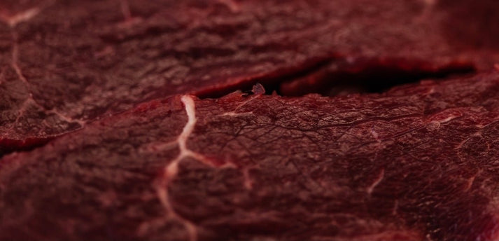 Beef Blood 1 oz shaker - Totally Raw