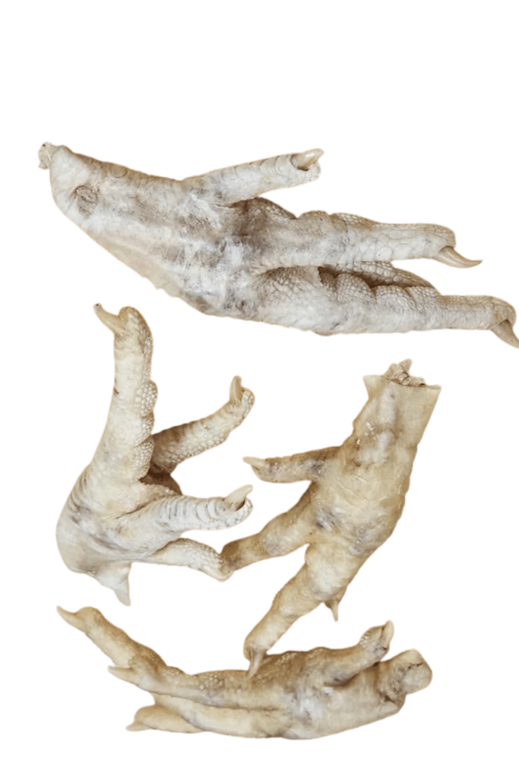 Bulk Freeze Dried Items - Totally Raw