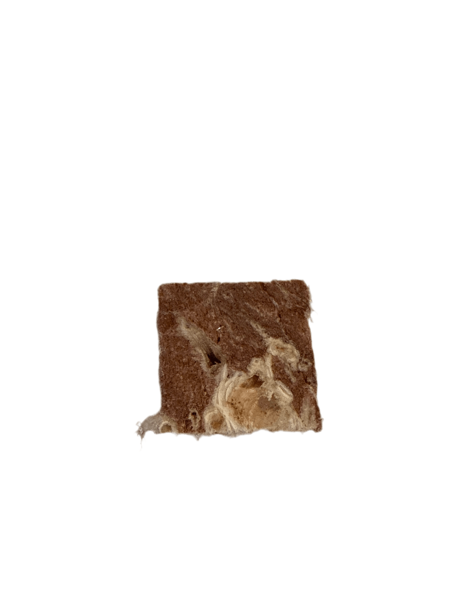Freeze Dried Beef Lung Bites - Totally Raw