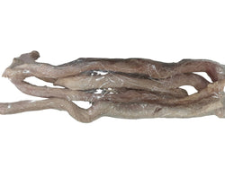 Freeze Dried Beef Pizzle "Bully Stick" - Totally Raw