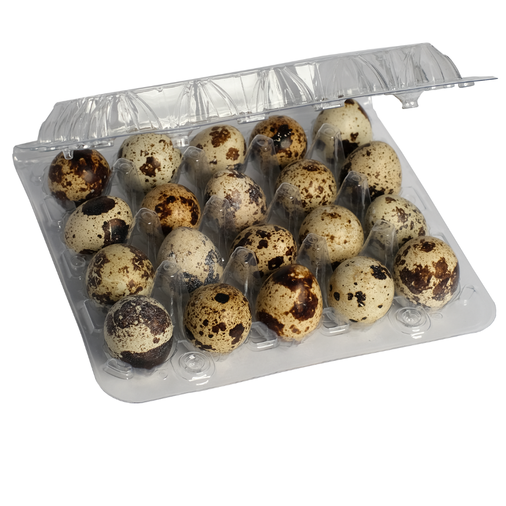 Freeze Dried Quail Eggs