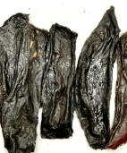 Private label Dehydrated Items - Totally Raw