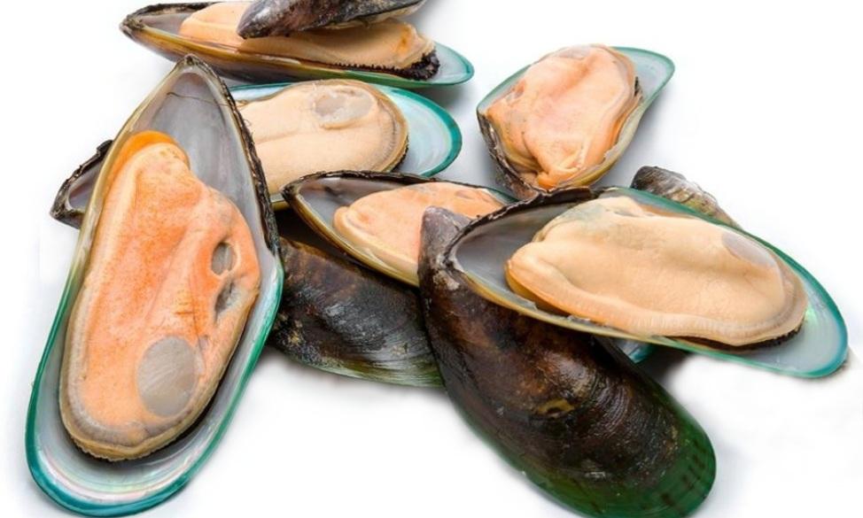 Raw Half Shell Green Lipped Mussel - Totally Raw